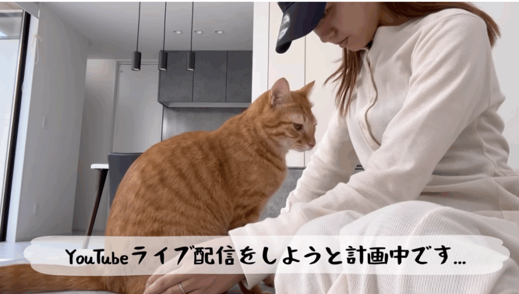 まんまるとらまる 金持ち