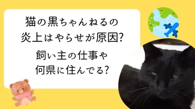猫の黒ちゃんねる　炎上